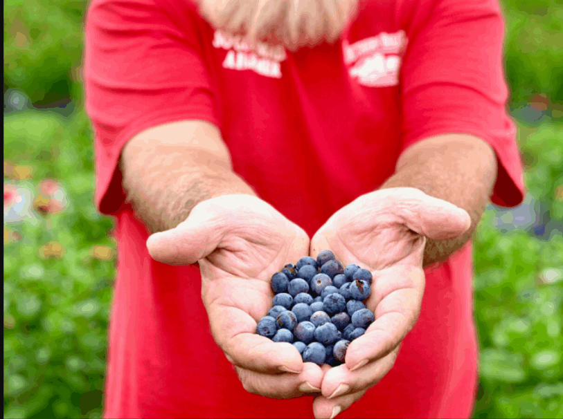 berry